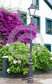 Beautiful house with pots on their windows