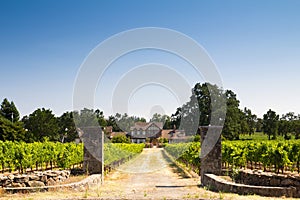 Beautiful house in a vineyard