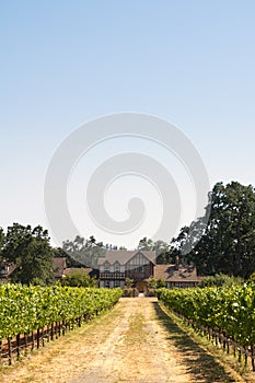 Beautiful house in a vineyard