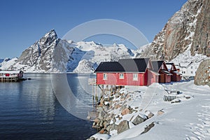 Beautiful houses painted in the national color on the Lofoten Islands in Norway