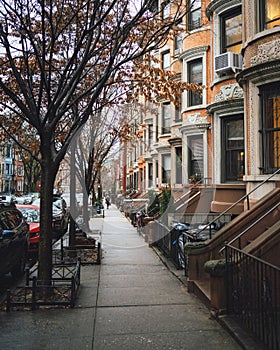 Beautiful houses in Park Slope, Brooklyn, New York photo