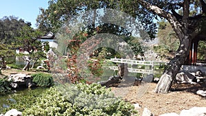 Beautiful Huffington Library