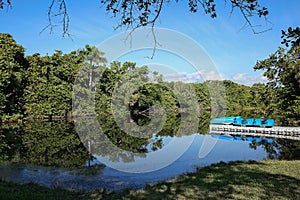 Beautiful Hugh Taylor Birch State Park in Fort Lauderdale, Florida, USA.