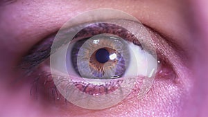 Beautiful human eye close-up. Young Woman Blue one eye macro shoot. Macro Closeup eye blinking and looking, over gray