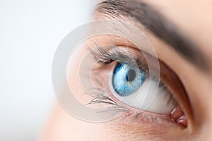 Beautiful human eye close-up. Young Woman Blue one eye macro shoot. Macro Closeup eye looking up, isolated on white