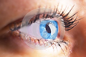 Beautiful human eye close-up. Young woman blue one eye macro shoot. Macro shot closeup eye looking up. Human eye macro detail. Eye