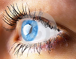 Beautiful human eye close-up. Young woman blue one eye macro shoot. Macro shot closeup eye looking up. Human eye macro detail. Eye