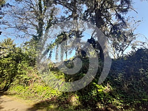 Beautiful Humboldt County