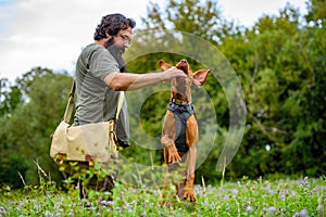 Beautiful Hungarian Vizsla puppy and its owner during obedience training outdoors. Positive reinforcement.