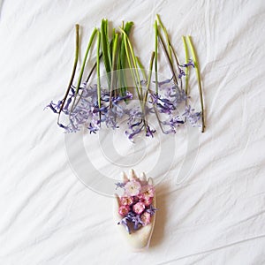 Beautiful hyacinth with a white hand