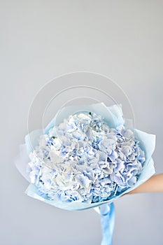 Beautiful hydrangea . Bouquet of blue flower. Decoration of home. Wallpaper and background.