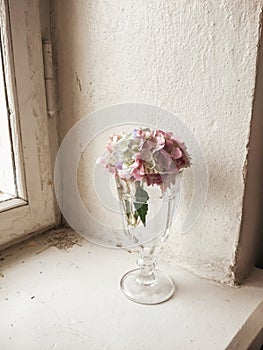 Beautiful Hydrangea colorful bouquet in wine glass with water, r