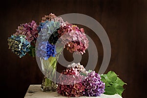 Beautiful hydrangea flowers in multiple colors arranged in a vase on a table