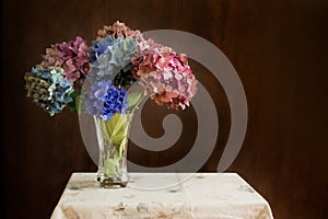 Beautiful hydrangea flowers in multiple colors arranged in a vase on a table