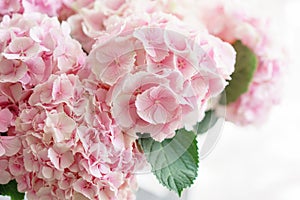 Beautiful hydrangea flowers in a vase on a table . Bouquet of light blue, lilac and pink flower. Decoration of home