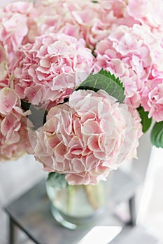 Beautiful hydrangea flowers in a vase on a table . Bouquet of light pink flower. Decoration of home. Wallpaper and