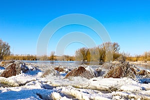 Beautiful ice crystals on plants during frosts on a frozen river. Natural background with hoarfrost on the grass. Saturated blue s
