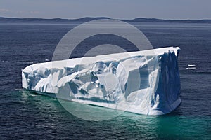 Beautiful Iceberg in Goose Cove