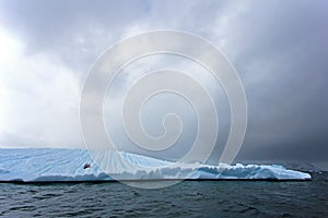 Beautiful iceberg or ice floe with a seal, Antarctic ocean