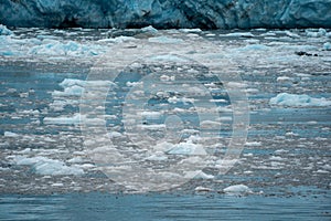 Beautiful icebergs and ice chunks float in the Aialik Bay near A photo