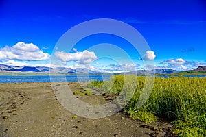 Beautiful Icelandic coastline Fjord vistas.