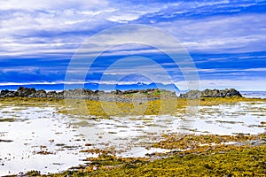 Beautiful Icelandic fjord in summer