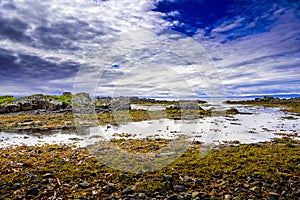 Beautiful Icelandic fjord in summer