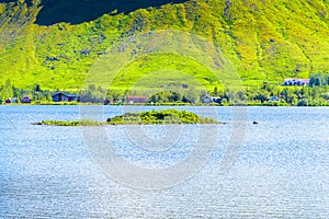 Beautiful Icelandic fjord in summer