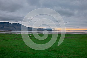 Beautiful icelandic landscape in early morning. Green grass, yellow sunrise, clouds and road in the distance. Very beautiful