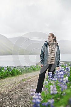 Beautiful Icelandic landscape with field in the foreground and the mountains and the fjords in the background