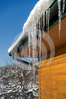 Beautiful Icicle on the snow roof