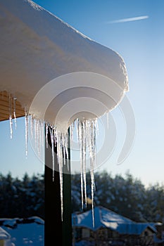 Beautiful Icicle on the snow roof