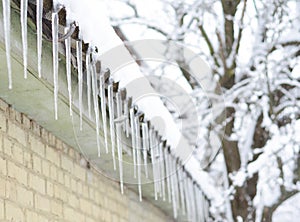 Beautiful icicles on the old asbestos  roof in frosty winter