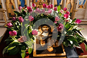 A beautiful iconostasis is decorated with pink tulips during the holiday in the church