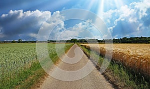 Beautiful idyllic dutch lonely endless straight bike and hiking trail between agricultural fields with morning sunshine rays -