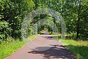 Beautiful idyllic red cycling bike path through green forest along dutch water canal Eindhovensche Kanaal -  region Brabant