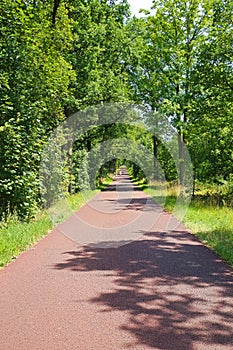 Beautiful idyllic red cycling bike path through green forest along dutch water canal Eindhovensche Kanaal -  region Brabant