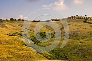 Beautiful idyllic summer landscape of Toscana, Italy with many mediterranean plants and field grasses.