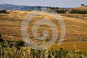 Beautiful idyllic summer landscape of Toscana, Italy with many mediterranean plants and field grasses.