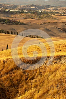 Beautiful idyllic sunny late summer landscape of Toscana with village, hills, trees and fields.