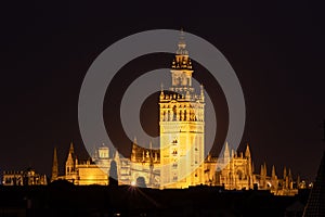 Beautiful, illuminated cathedral of Giralda at night in Seville, Spain