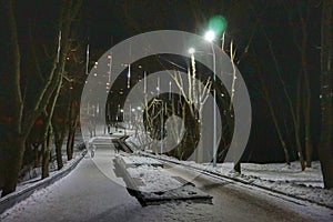 Beautiful illumination in the winter park
