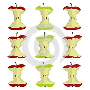 A beautiful illustration of apple core