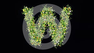 Beautiful illustration of English alphabet W with green grass and colorful flowers on plain black background
