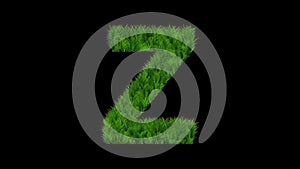 Beautiful illustration of English alphabet Z with green grass effect on plain black background