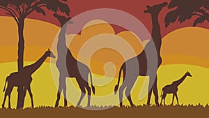 Beautiful illustration of giraffe silhouettes eating from trees during sunset