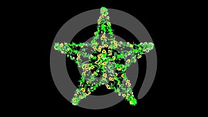 Beautiful illustration of star shape with green leaves and yellow flowers on plain black background
