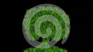 Beautiful illustration of tree shape with green grass effect on plain black background