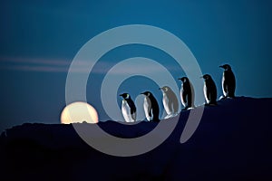 Beautiful image of emperor penguins walking ina row with the full moon in the background at night. Amazing Wildlife. Generative Ai