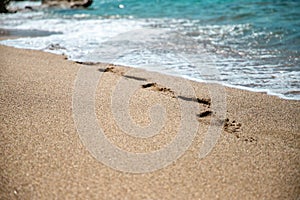 Beautiful image of footprints in the sand